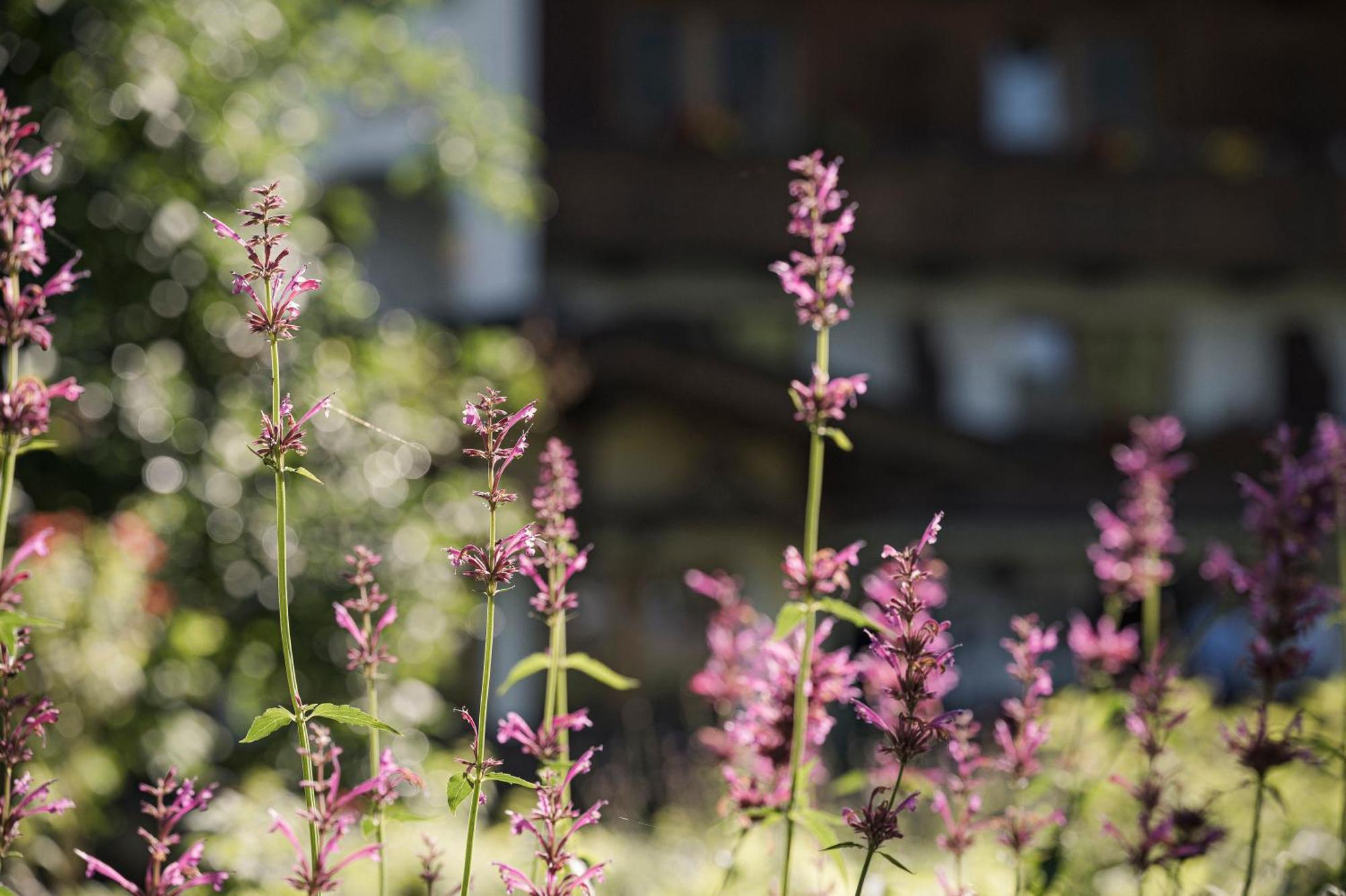 Biohotel Rastbichlhof Neustift im Stubaital Kültér fotó